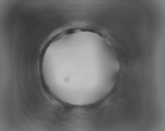 X0000081320244200702082143