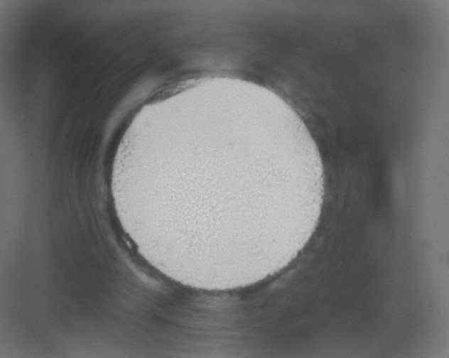 X0000081320245200702082143