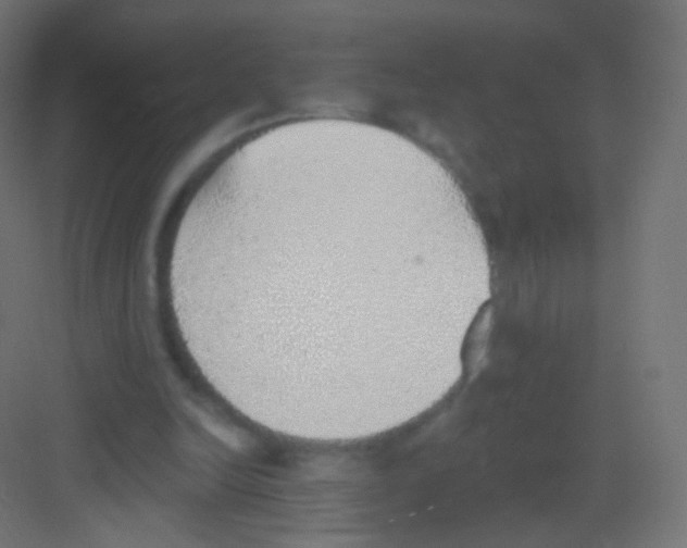 X0000081320246200702082143