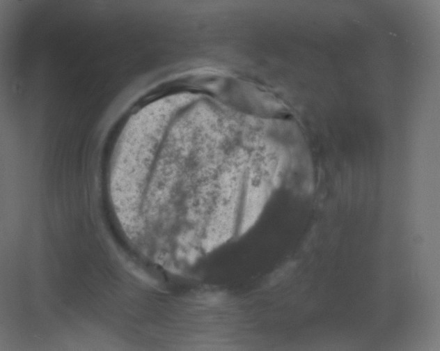 X0000081320247200702082143