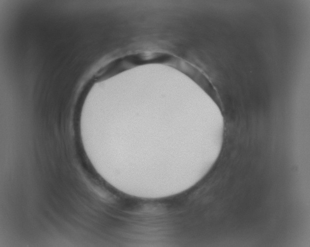 X0000081320248200702082143