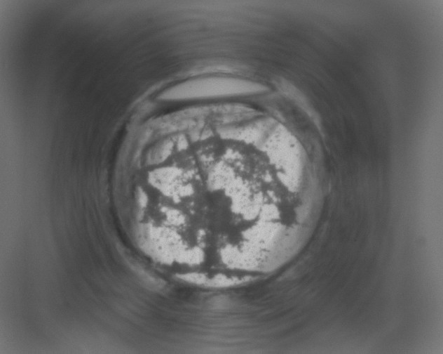 X0000081320249200702082143