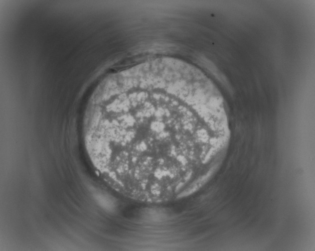 X0000081320250200702082143