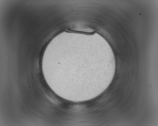 X0000081320251200702082143