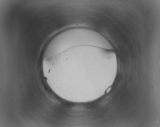 X0000081320252200702082143