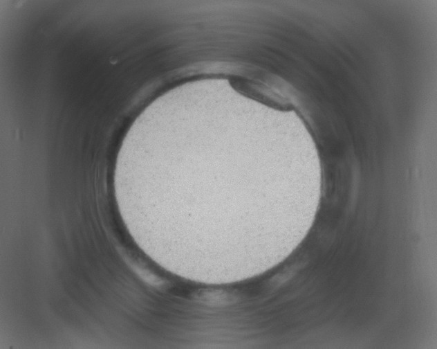 X0000081320253200702082143