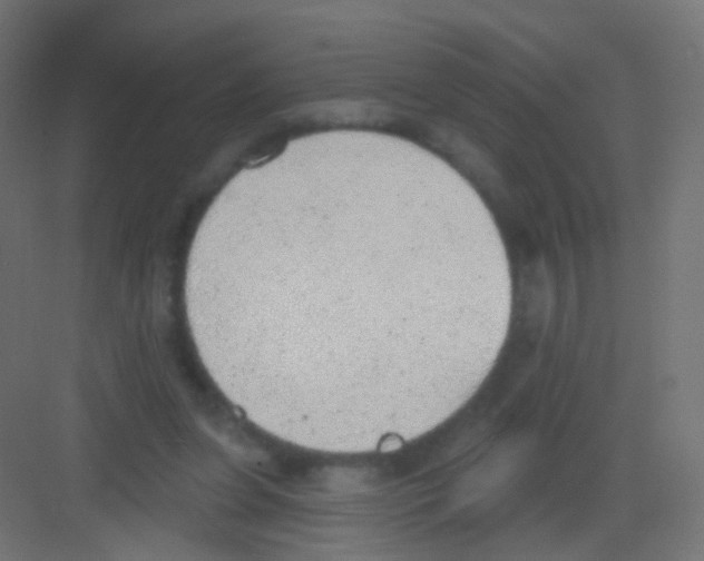 X0000081320255200702082143