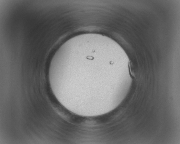 X0000081320256200702082143