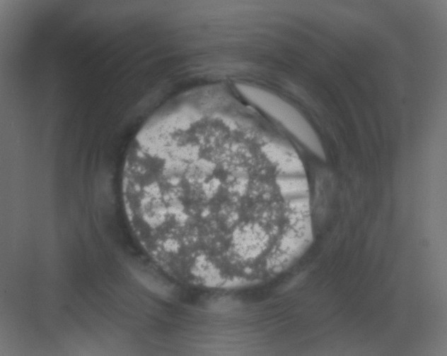 X0000081320258200702082143