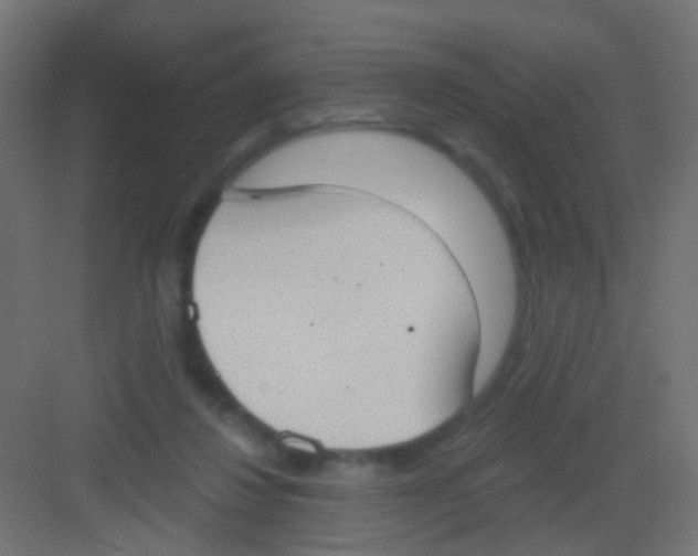 X0000081320260200702082143