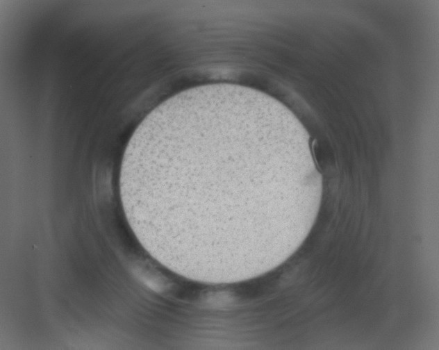 X0000081320262200702082144