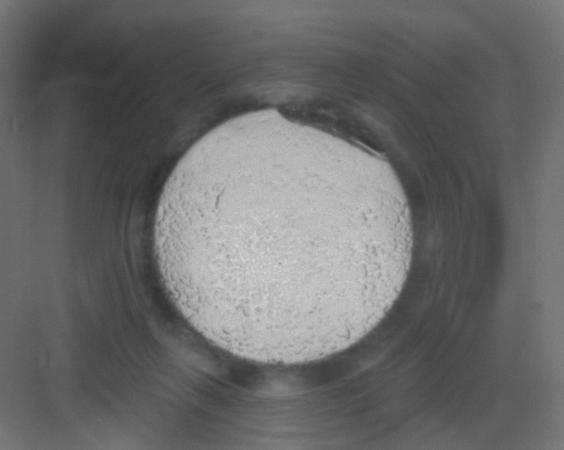 X0000081320263200702082144