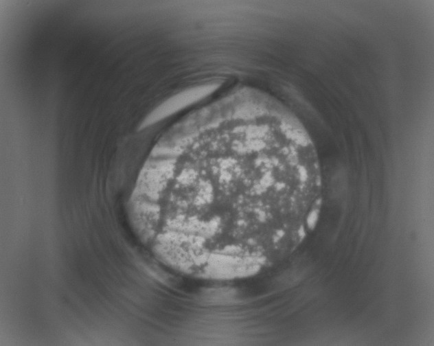 X0000081320266200702082144