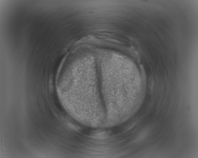 X0000081320267200702082144