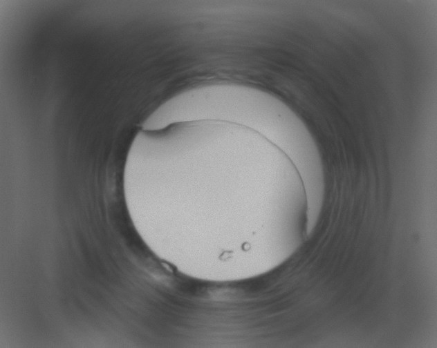 X0000081320268200702082144