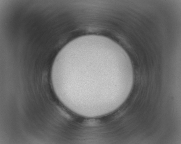 X0000081320269200702082144