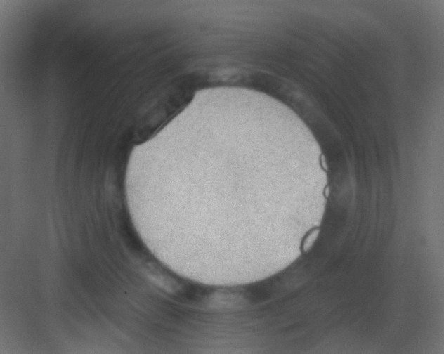 X0000081320270200702082144