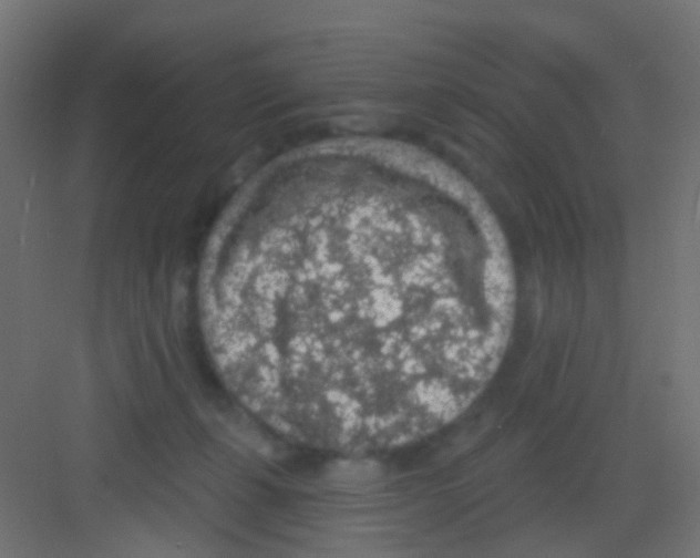 X0000081320271200702082144