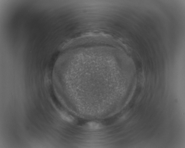 X0000081320272200702082144