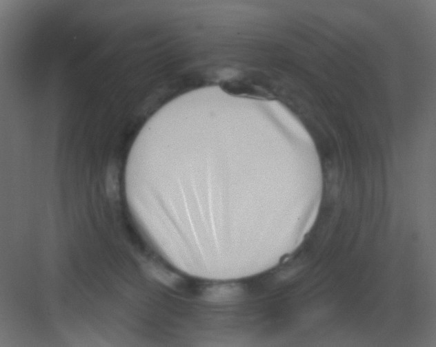 X0000081320274200702082144