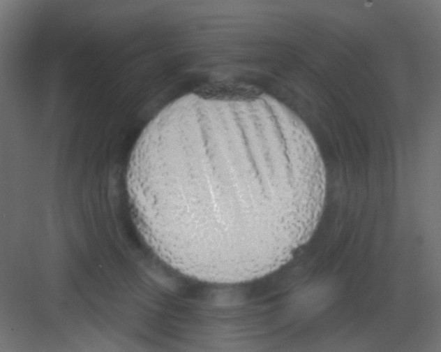 X0000081320275200702082144