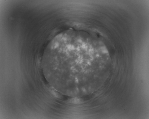 X0000081320276200702082144