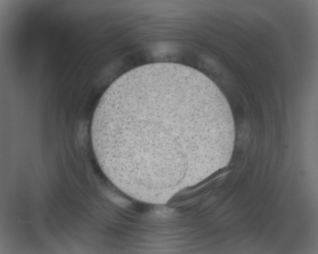 X0000081320278200702082144