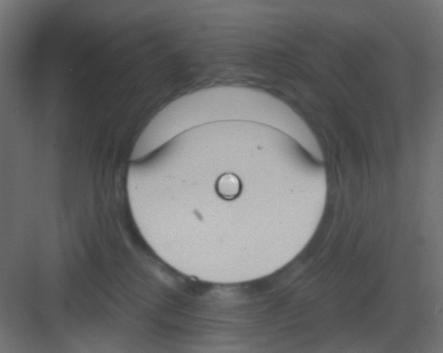 X0000081320280200702082144