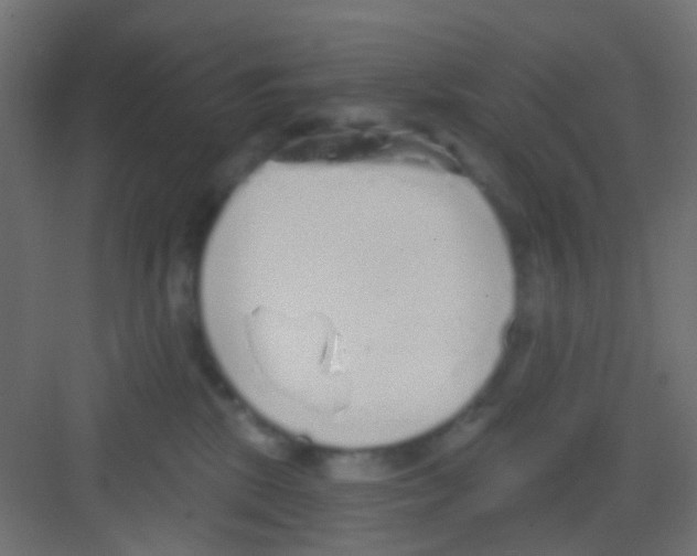 X0000081320281200702082144