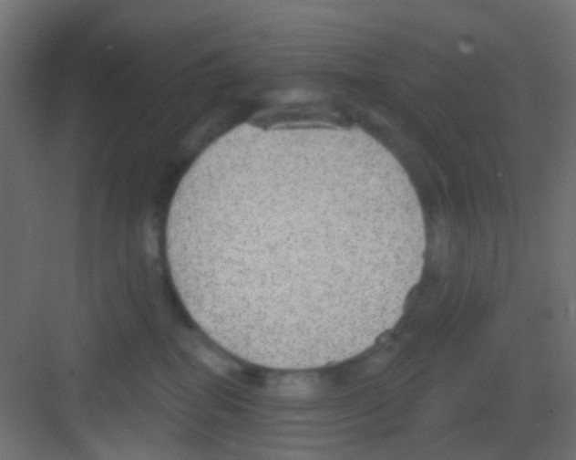 X0000081320282200702082144