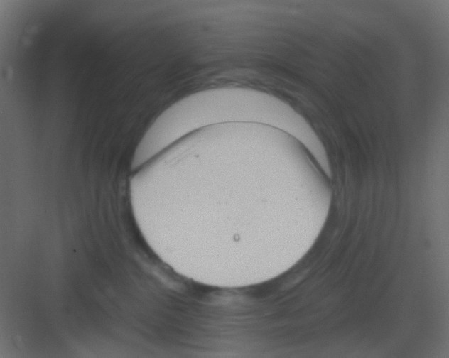 X0000081320284200702082144