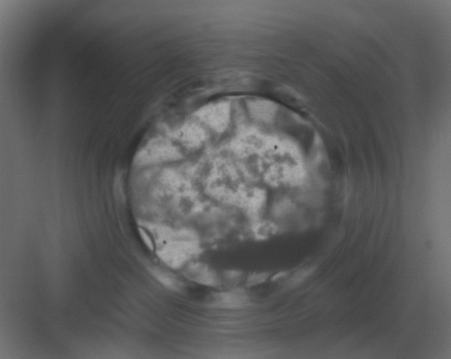 X0000081320286200702082144