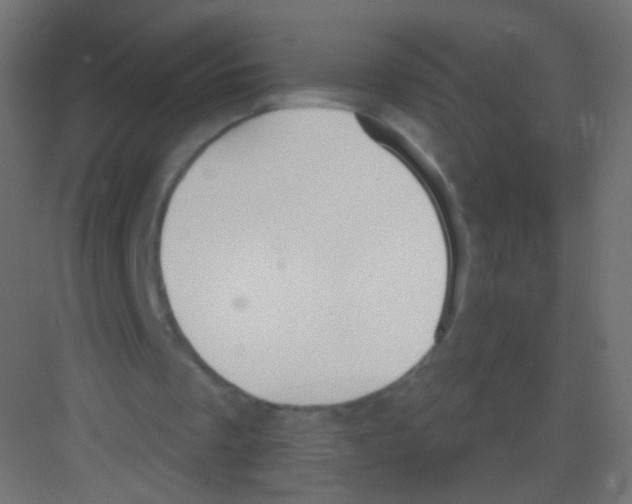 X0000081320289200702082143