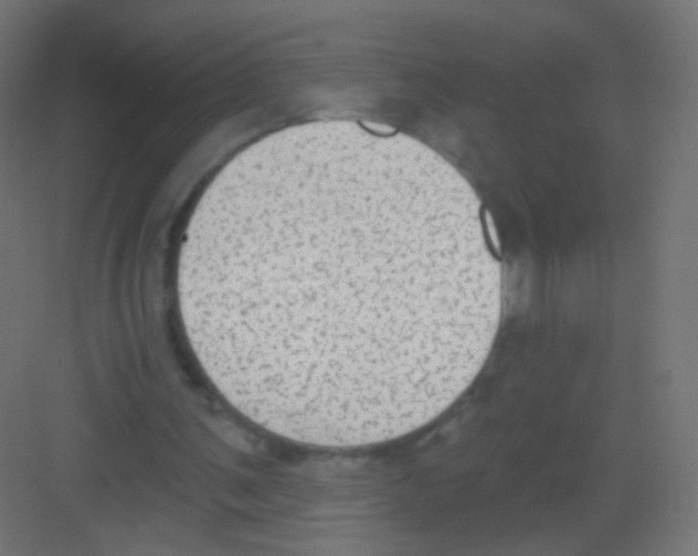 X0000081320291200702082143