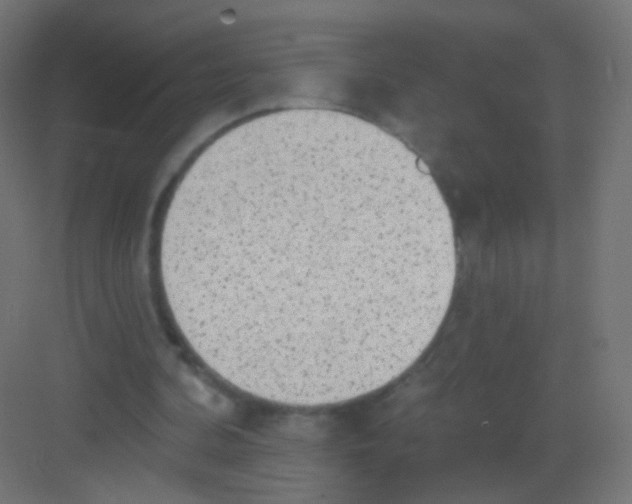 X0000081320292200702082143