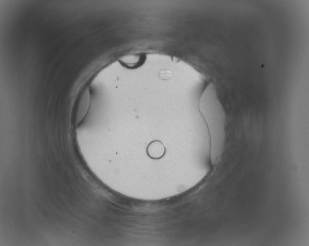 X0000081320293200702082143