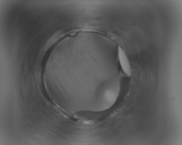 X0000081320295200702082143