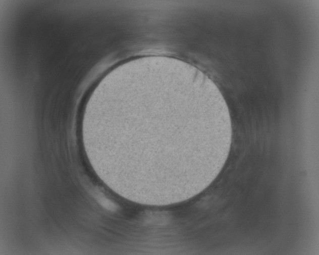 X0000081320296200702082143