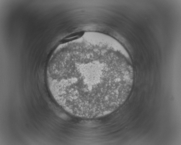 X0000081320297200702082143