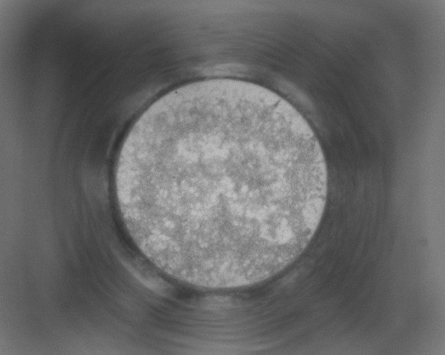 X0000081320298200702082143