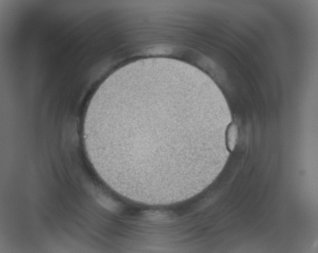 X0000081320300200702082143