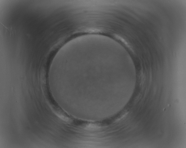 X0000081320303200702082143