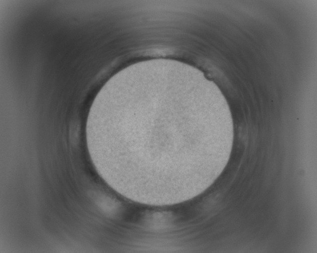 X0000081320304200702082143