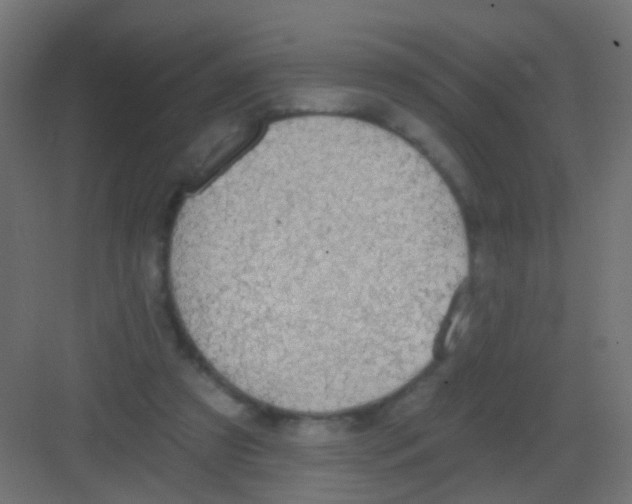 X0000081320305200702082143