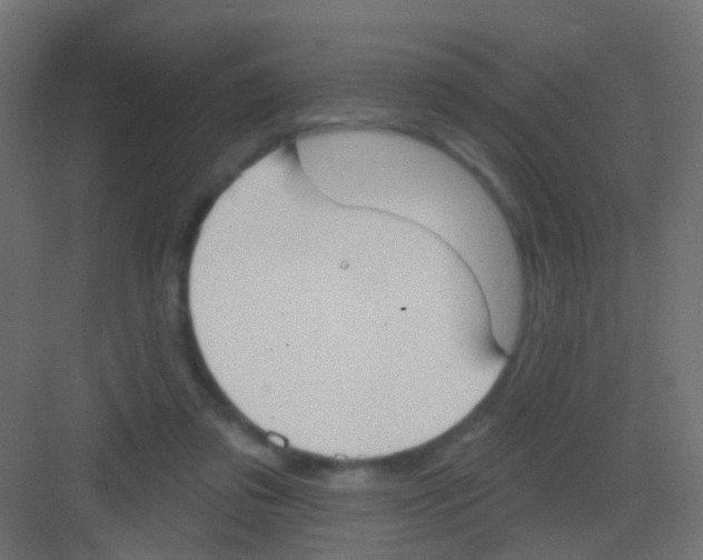 X0000081320309200702082143