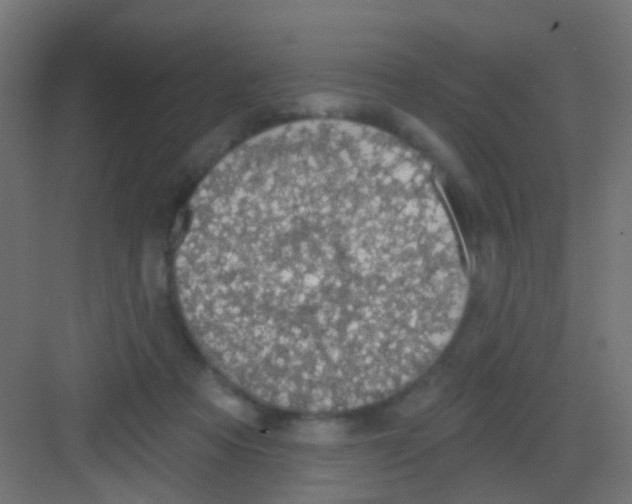 X0000081320313200702082143