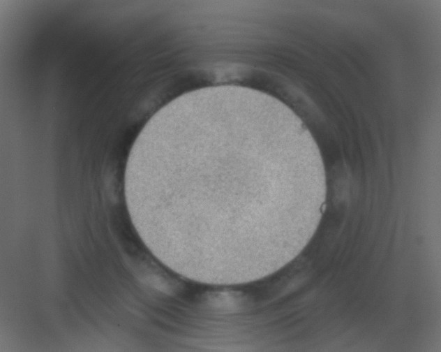 X0000081320316200702082143