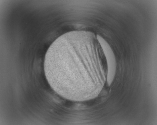 X0000081320319200702082143