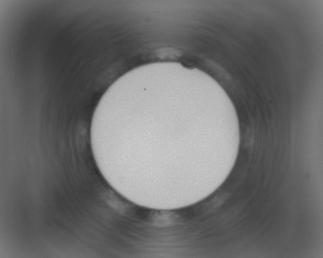 X0000081320321200702082143