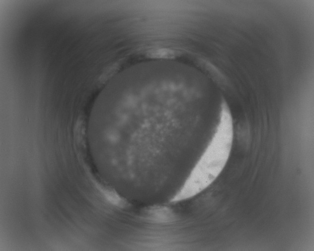 X0000081320322200702082143